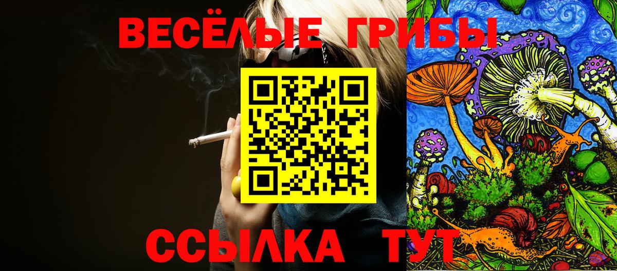 Галлюциногенные грибы GOLDEN TEACHER  Вход с VPN  Рязань  Псилоцибиновые грибы Cubensis 